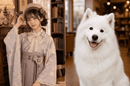 キャスト、犬猫カフェに